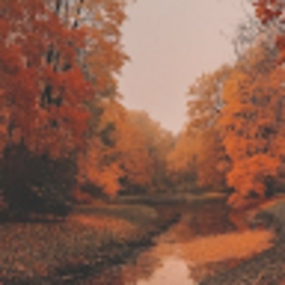 Meet your Posher, Bridget